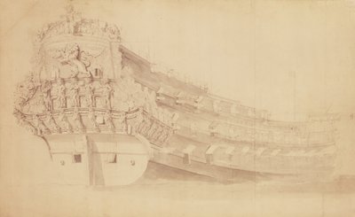 `León dorado